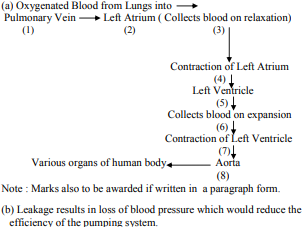 What happens when the system of blood vessels develop a leak